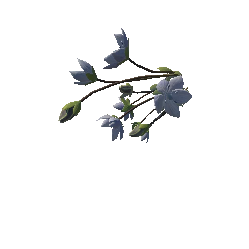 3D flower Collection vol02 Lomatogonium04_L